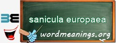 WordMeaning blackboard for sanicula europaea